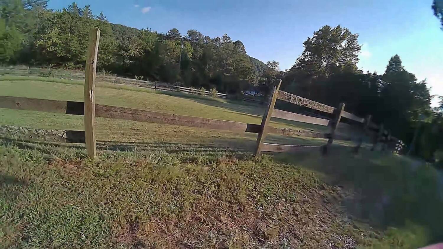 P1 video during the latency-feel flight